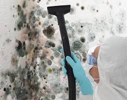 Why You Should Choose Our Mold Remediation Services in Sanger, CA